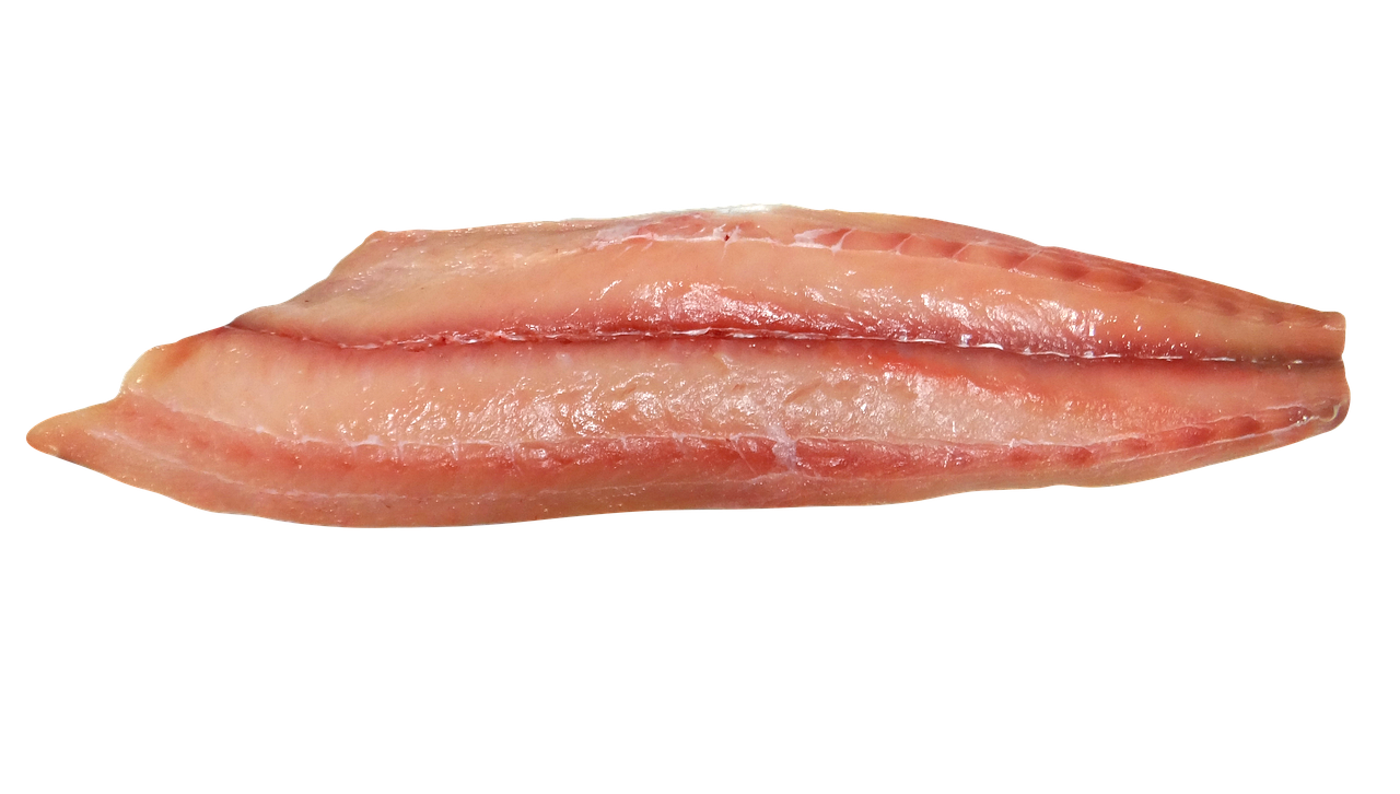 Fresh-caught fish from the Florida Keys